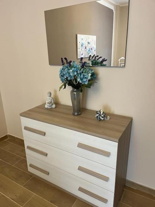 Attico Briccarello -Intero Appartamento- Elegant Suite With Free Wifi Near Inalpi Arena And Sporting Club Torino-Olimpyc Stadium Εξωτερικό φωτογραφία
